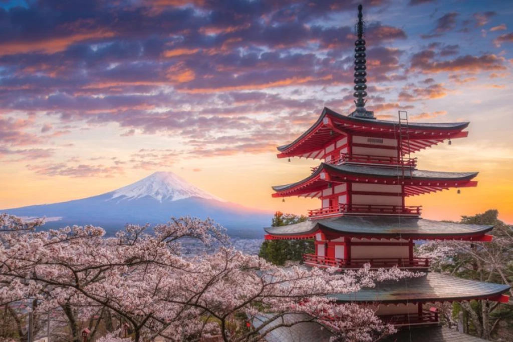 Türkische Airlines Mega Japan-Korea Tour (24 Nächte Hotelaufenthalt)