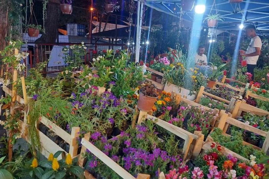 Bayındır Blumenfestival Tour