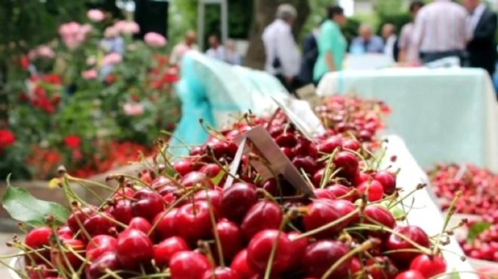 KEMALPAŞA CHERRY FESTIVAL
