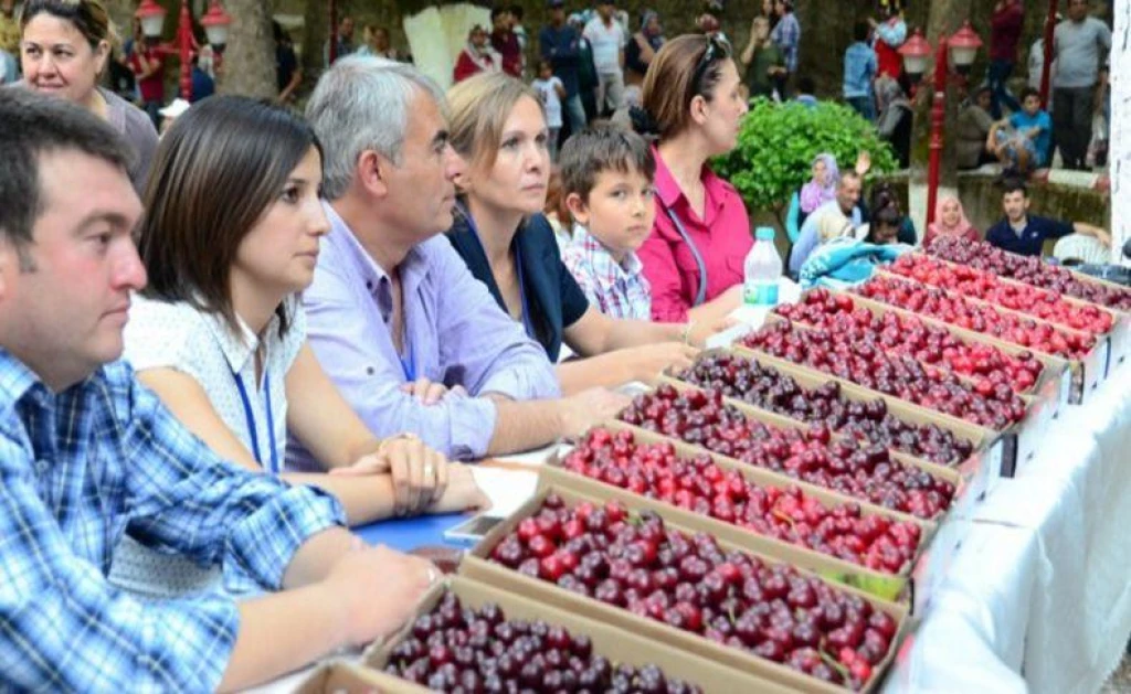 KEMALPAŞA CHERRY FESTIVAL