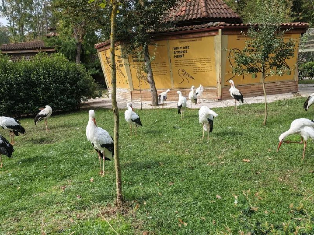 ORMANYA - MAŞUKİYE - HOBBITHÄUSER