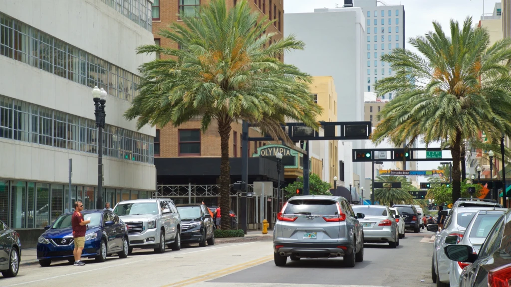 ☀️  Florida Escape: Miami & Orlando Tatili (6 Gece / 8 Gün)
