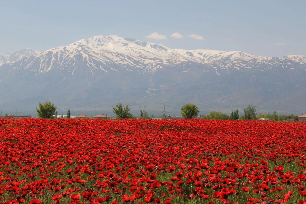 5-Day Munzur Valley and Ziyaret Village Tour from Istanbul