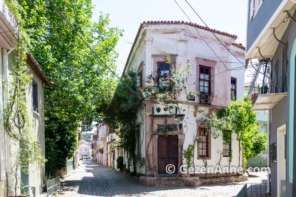 GÜNÜBİRLİK AYVALIK CUNDA TURU