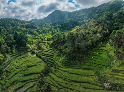Bali Turları