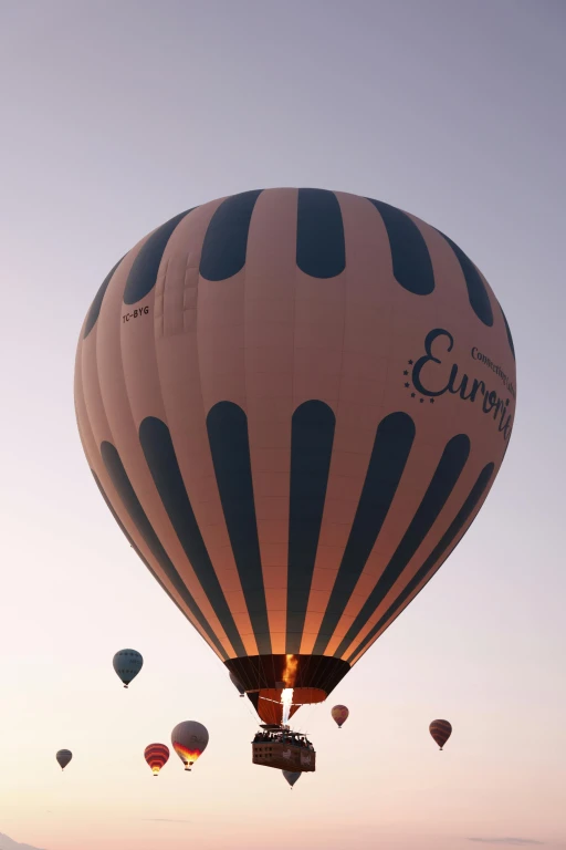 Hot Air Balloon : Watching Tour