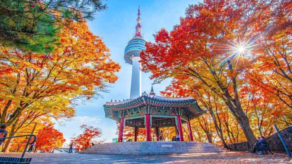 Türk Havayolları ile Grand Japonya & Güney Kore Turu