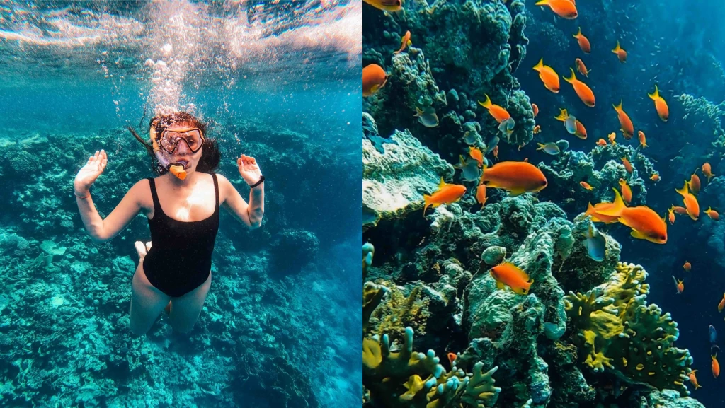 Her Gün Kesin Hareketli MISIR! Vizyon Sharm El Sheikh Çöl ve Mercanların Keşfi Turu 4 Gece Konaklamalı (EXTRA TURLAR DAHİL!)