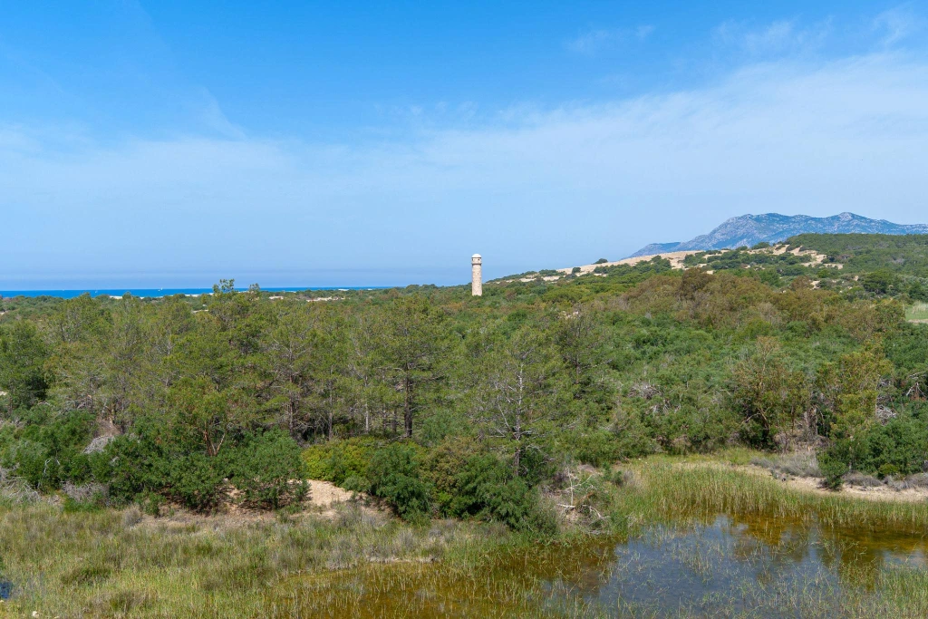 3-Day Patara, Kas & Ancient City Tour from Istanbul