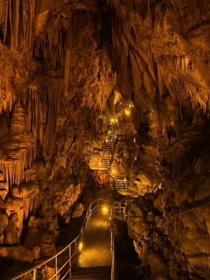 Dimcave Entry Fee