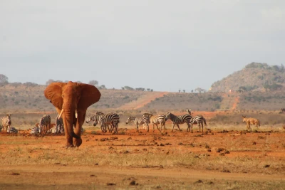 Afrika Turları