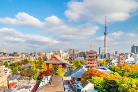 Comfort Japonya Turu - Ekstra Turlar Ve Çay Seremonisi Dahil!
