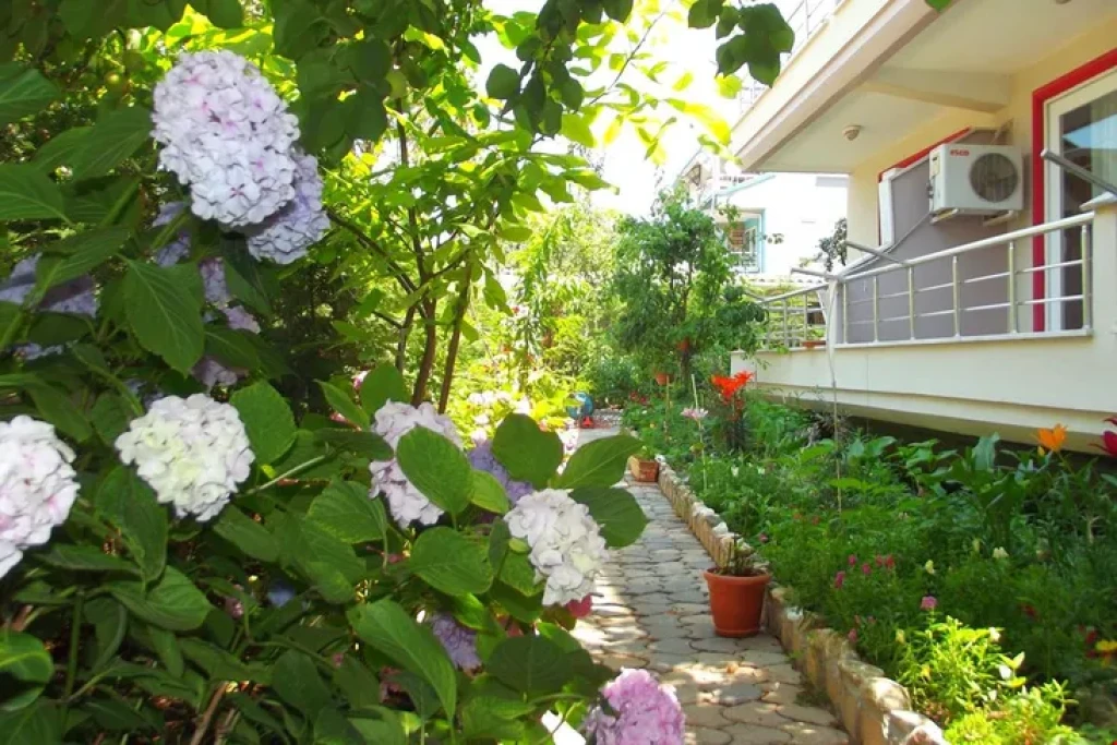 BEDIA HOTEL