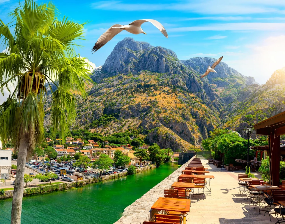 Montenegro Gastronomi Turu