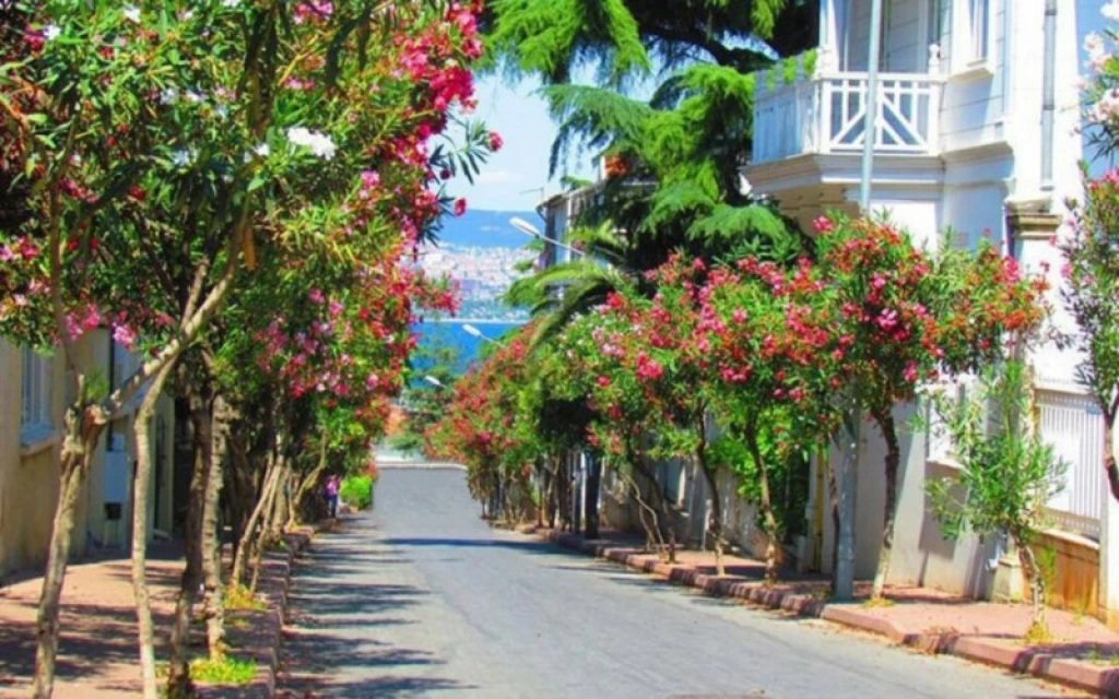 جولة جزر الأميرات بواسطة SHE TOUR