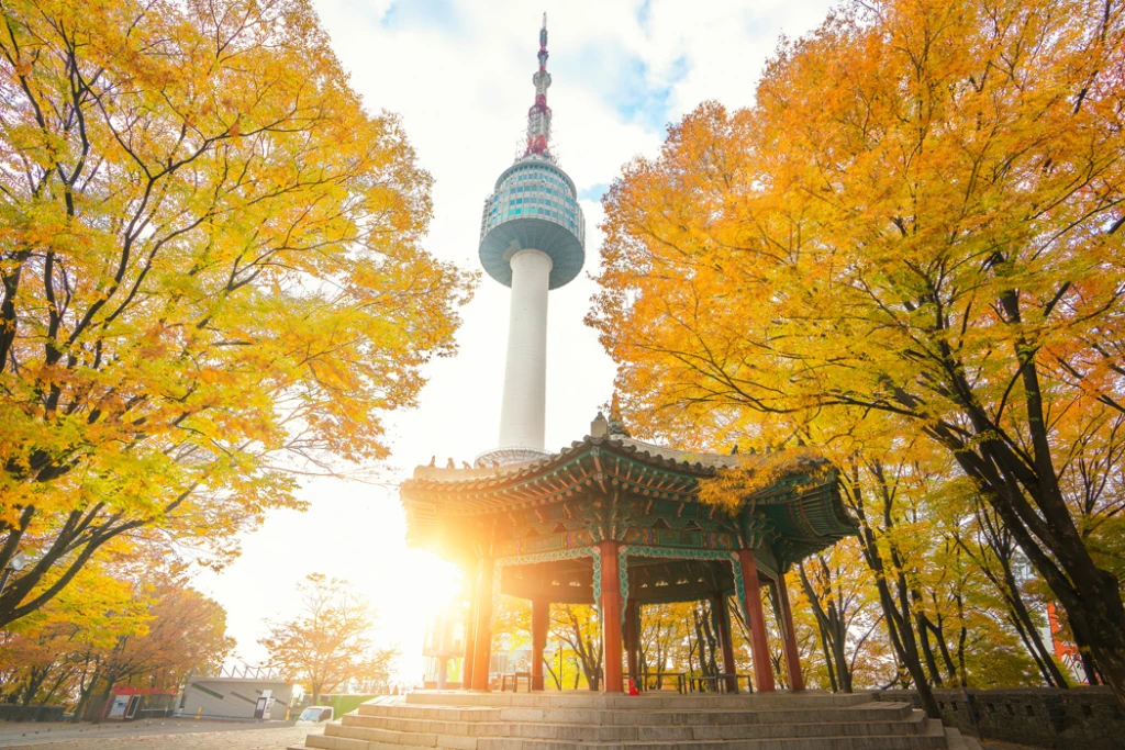 GÜNEY KORE & JAPONYA & HONG KONG TURU TÜRK HAVA YOLLARI İLE 10 GECE