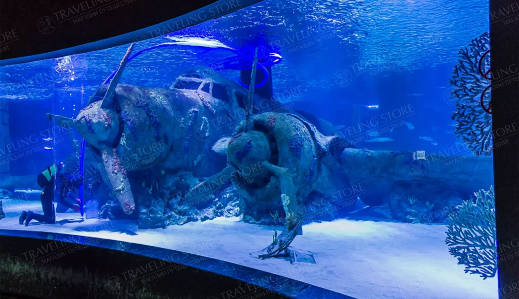 Side: Tunnel Aquarium, Waterfall and Wax Work Museum Tour