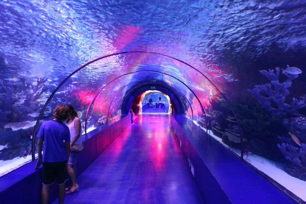 Side: Tunnel Aquarium, Waterfall and Wax Work Museum Tour