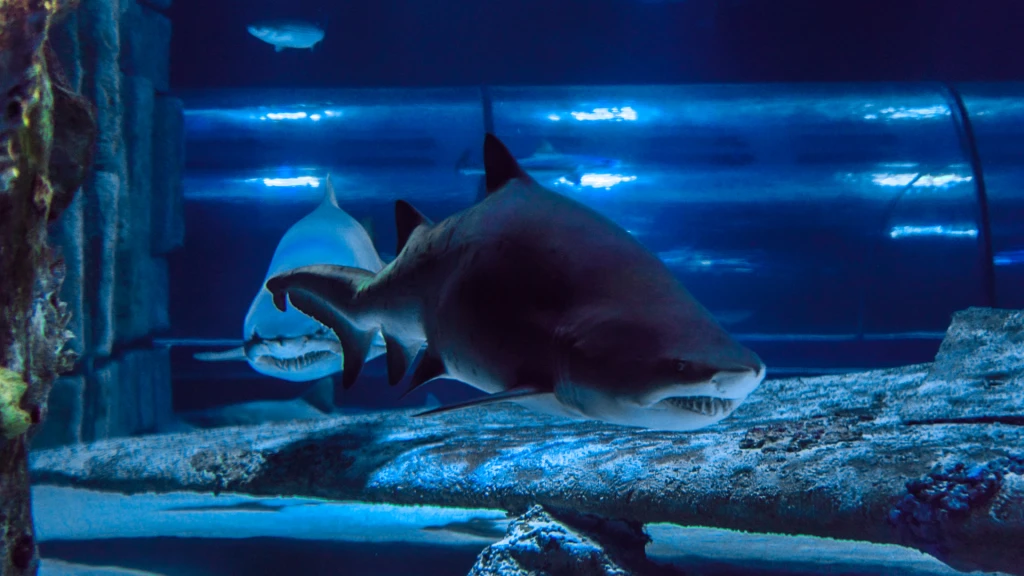 Side: Tunnel Aquarium, Waterfall and Wax Work Museum Tour