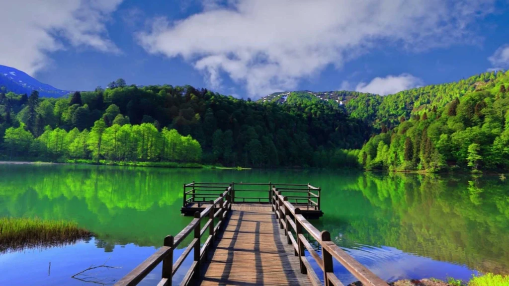 Taşacak Bu Deniz Karadeniz Yaylalar & Batum Turu 4 Gece Otel Konaklamalı