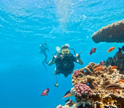 Antik Mısır Sharm El Sheikh -  Kahire - Hurghada - Luxor Tatili (Tüm Extalar Dahil Başka Ödeme Yok )