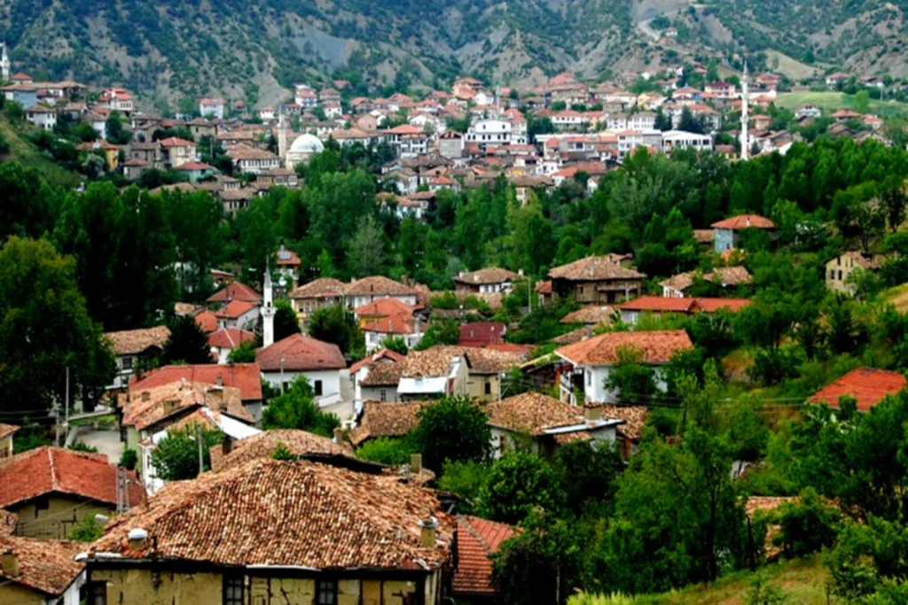 Taraklı-Göynük-Çubuk Gölü (Günübirlik)