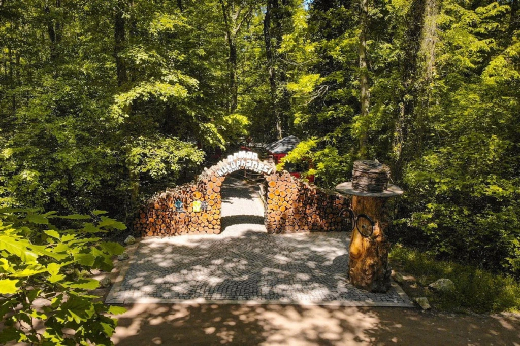 Maşukiye-Ormanya-Sapanca Turu (Günübirlik)