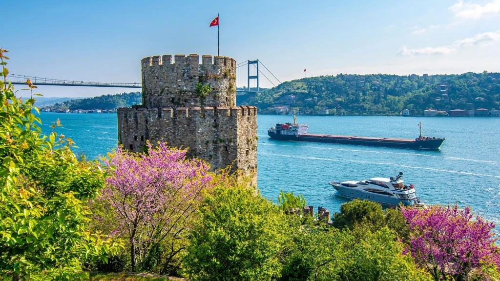 Afternoon Bosphorus Cruise by PLAN TOUR