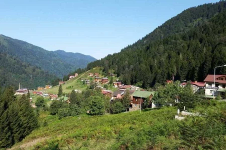 Orta ve Doğu Karadeniz(Samsun-Ordu-Giresun-Trabzon) Turu (3 Gece 4 Gün)