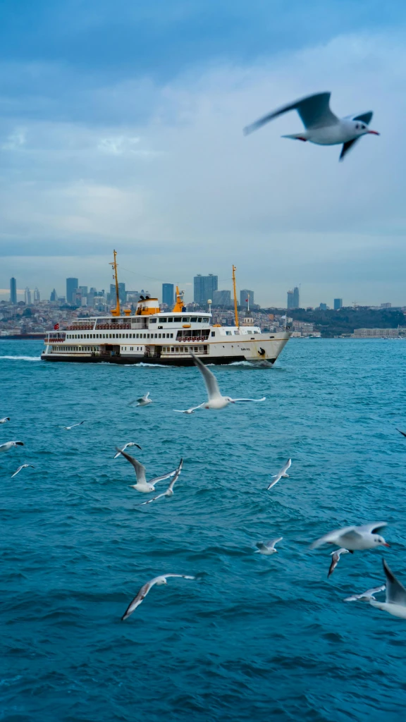 Why is the Bosphorus Turquoise Right Now? The Story Behind Istanbul’s Magical Color Shift
