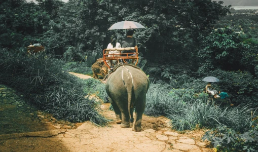 Bangkok - Phuket Serüveni Turu