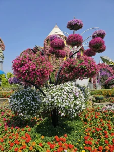 MIRACLE GARDEN & AL BASTAKIYA TOUR