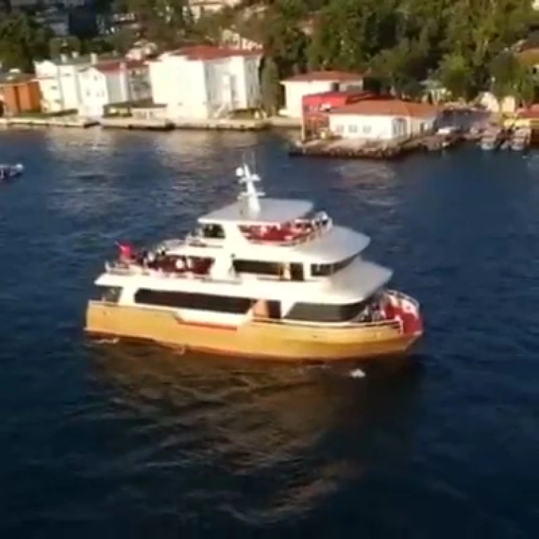Lüfer-17