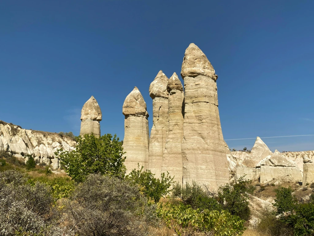 Private Half Day Tour