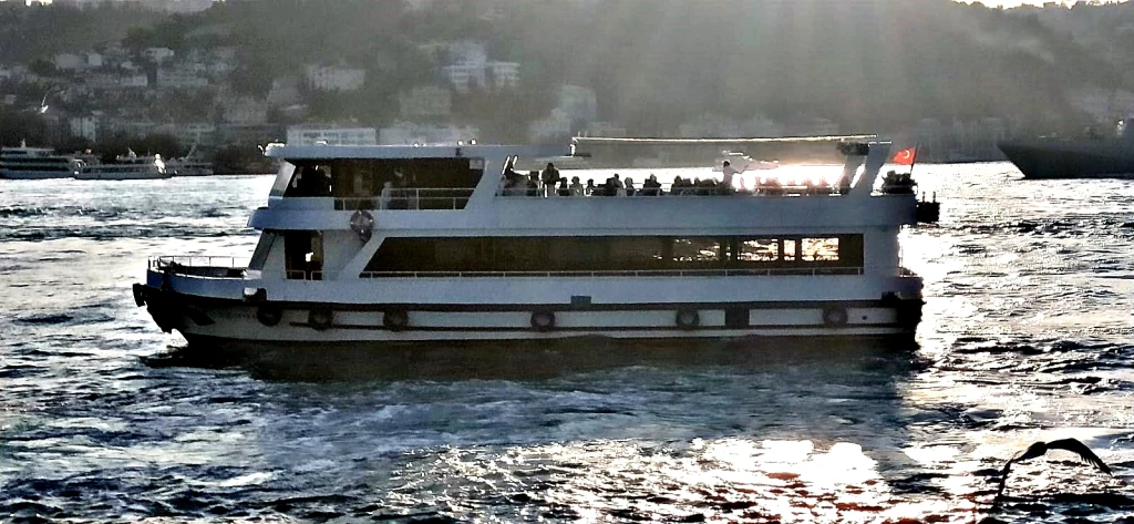 Lüfer-19