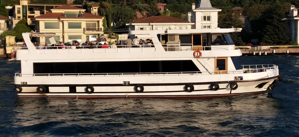 Lüfer-19