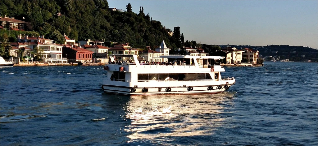 Lüfer-19