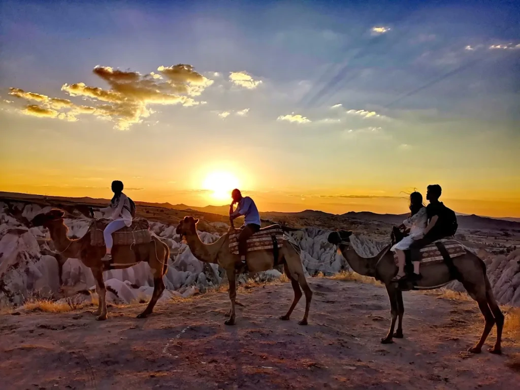 Cappadocia Camel Riding