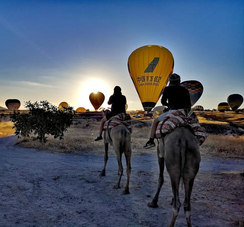 Cappadocia Camel Riding