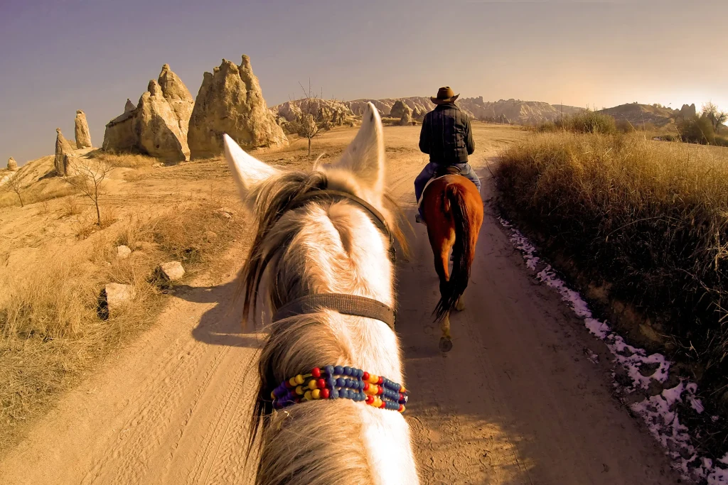 Sunset Horse Safari Tour