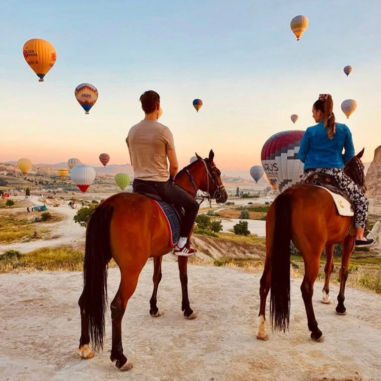 Sunset Horse Safari Tour