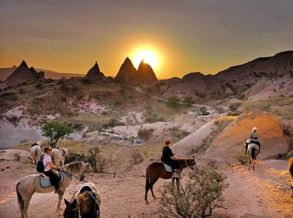 Sunset Horse Safari Tour
