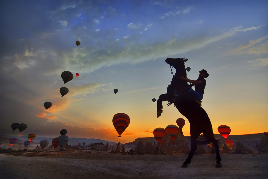 Sunset Horse Safari Tour