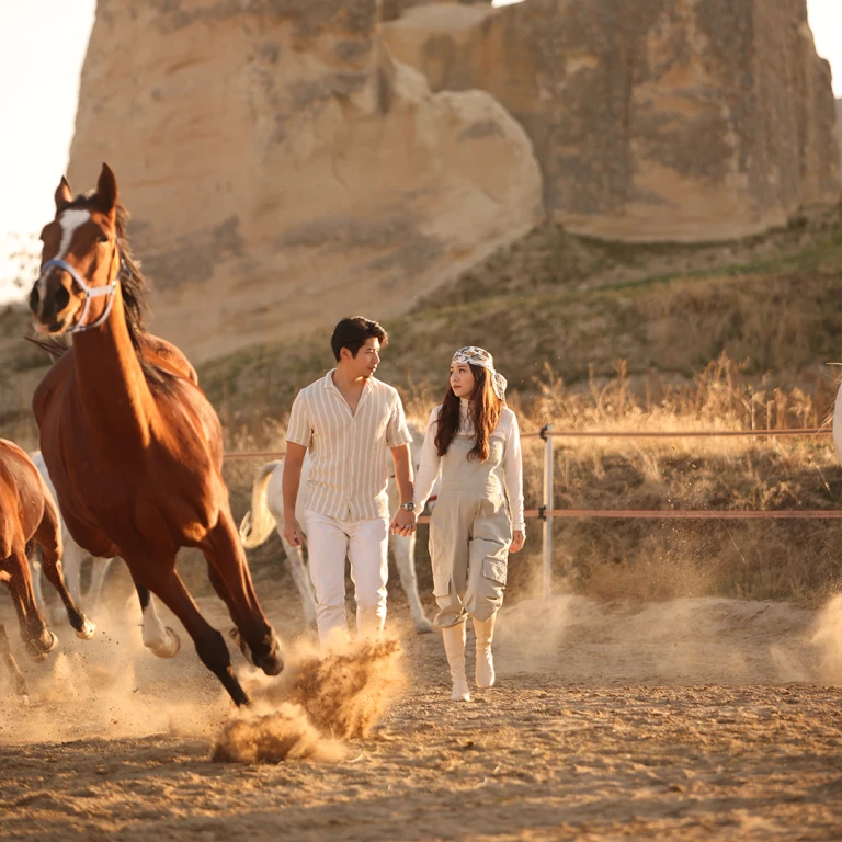 Sunset Horse Safari Tour