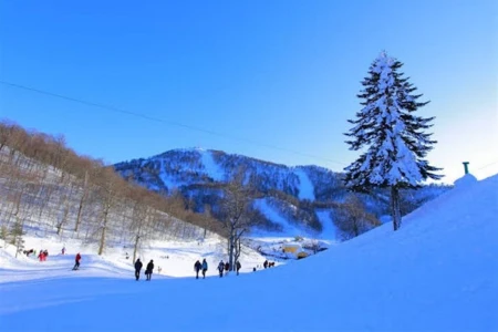 گشت ماسوکیه و کارتپه (روزانه)