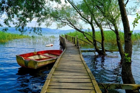 Maşukiye-Ormanya-Sapanca Turu (Günübirlik)