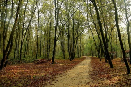 Maşukiye-Ormanya-Sapanca Tura (Jednodnevni izlet)