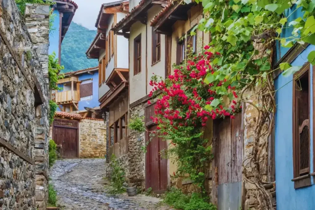Cumalıkızık-Gölyazı-Nefes Dağyenice (Günübirlik)