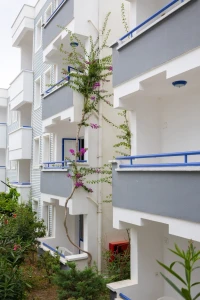 Sunpoint Hotel Bodrum Fotoğrafları 5