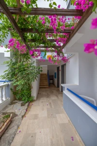 Sunpoint Hotel Bodrum Fotoğrafları 7